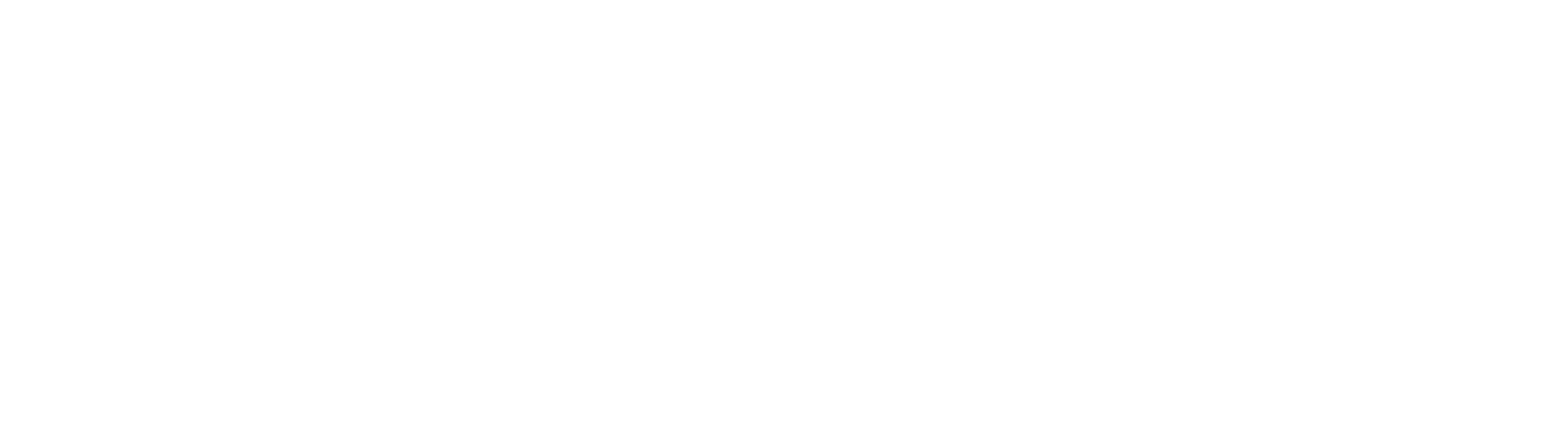Brooks Pest Control logo